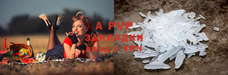 A-PVP СК  Венёв 